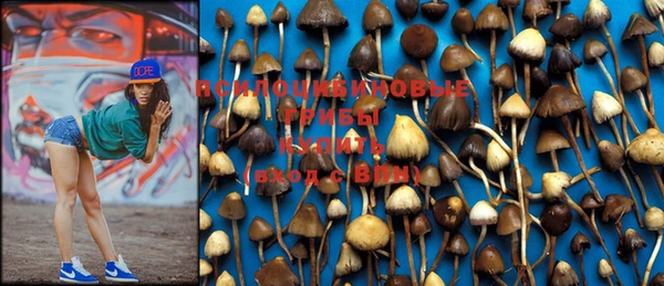 PSILOCYBIN Баксан