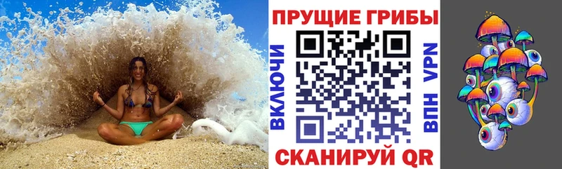 Галлюциногенные грибы Cubensis  Ржев 